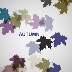 Autumn seasonal background