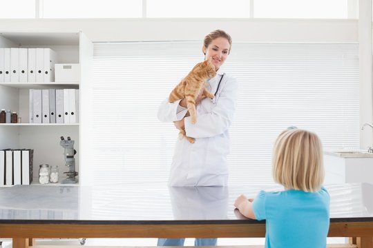 Vet holding a young girls cat