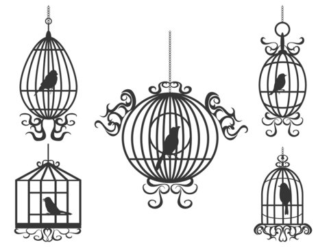 birdcage with birds vector