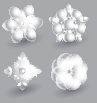 Beautiful ice flowers collection