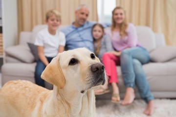Parents and their children on sofa with labrador