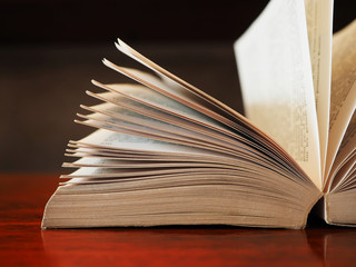 open book in vintage light tone color