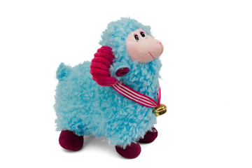 Blue sheep