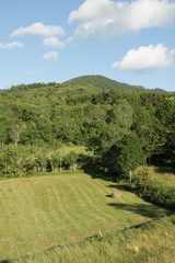 Prairie de fauche,Haute vallée de l'Aude