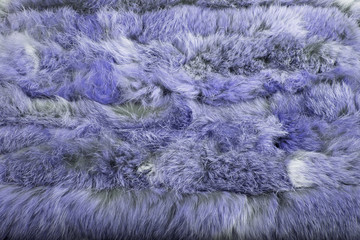 Beautiful blue animal fur (background, wallpaper)