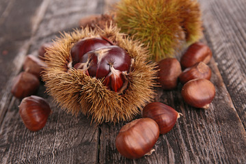 chestnut