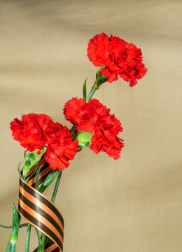 Red carnations which tied up George tape