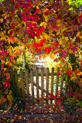 Herbst
