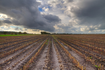 Fototapeta na wymiar Empty maize field in autumn under dark clouds