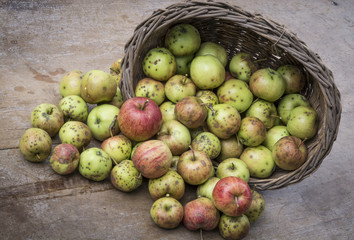 a basket of apples