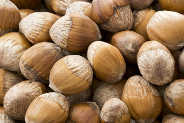 Haselnüsse