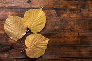 Naklejka na ściany i meble Yellow leaves on brown wooden background
