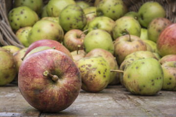 apples