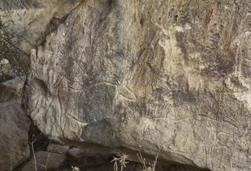 Petroglyphs in Gobustan National Park. Azerbaijan