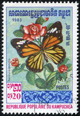 stamp printed Cambodia shows image of a butterfly