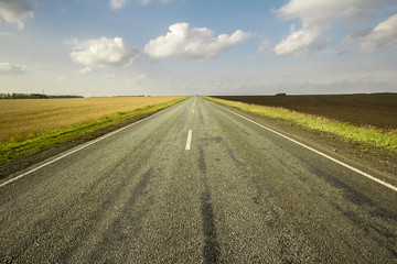 Fototapeta premium autumn sketches.