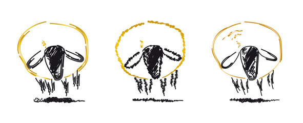 Drei Schafe stehen nebeneinander - Logo für Schafzucht, Schafwolle, Schäferei, landwirtschaftlicher Betrieb, Vektor, isoliert