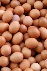 Foto auf Alu-Dibond fresh eggs for sale at a market © geargodz