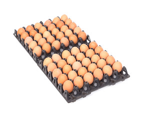 eggs in tray on white background