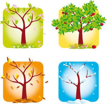 4 saisons - visuel 2
