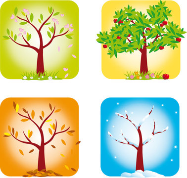 4 saisons - visuel 1