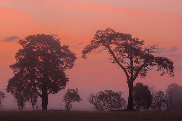 African sunrise