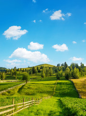 Fototapeta na wymiar Rural landscape in summer