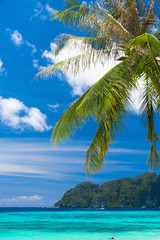 Coconut Getaway Idyllic Coast