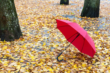 Red umbrella on autumn leaves