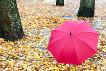 Red umbrella on autumn leaves