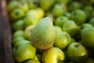 Green pear on apples background in box
