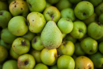 Green pear on apples background in box