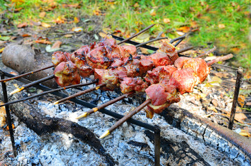 Barbecue cooking meat on a fire