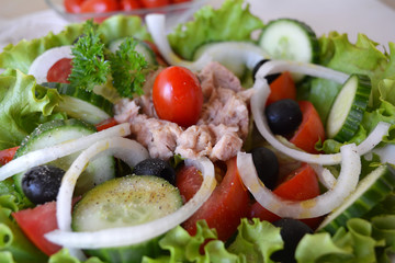 Mixed vegetable salad with tuna and olive oil