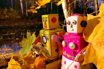 Two toy robots with autumn leaves by the river in the woods