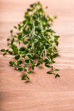 Thyme , Selective focus 