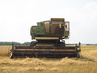 Fototapeta premium harvester in work
