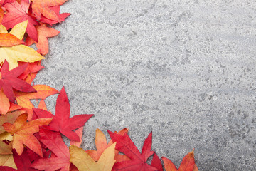 Autumn leaves on stone background