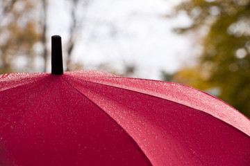 Rain drops on a red umbrella