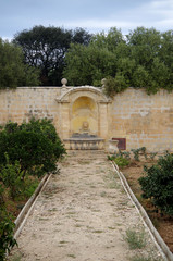 Pond in the park