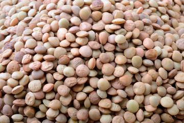 Lentils