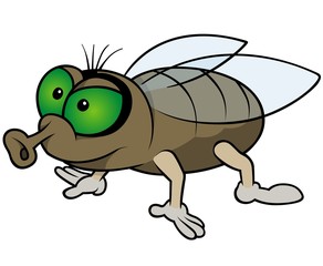 Waiting Fly - Cartoon Illustration