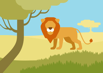 Lion habitat flat design cartoon vector wild animals