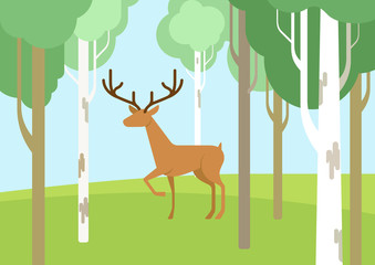 Deer in the bichwood forest flat cartoon vector wild animal