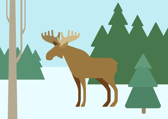 Elk in winter forest habitat flat cartoon vector wild animals