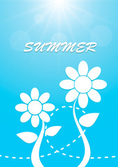 White flower on blue sky summer background