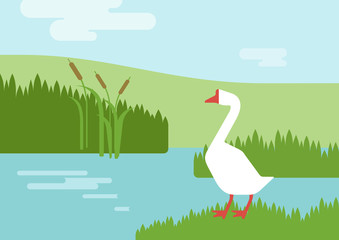 Goose riverhabitat flat design cartoon vector farm animals birds