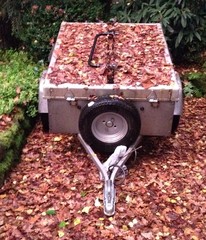 Anhänger nach einem Herbststurm