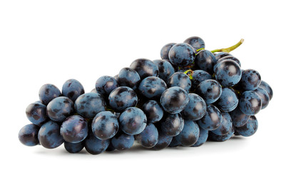 Ripe bunch of blue grapes