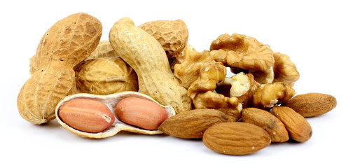 nuts on a white background